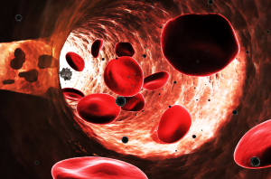 Blood Cells When Experiencing Stress-3