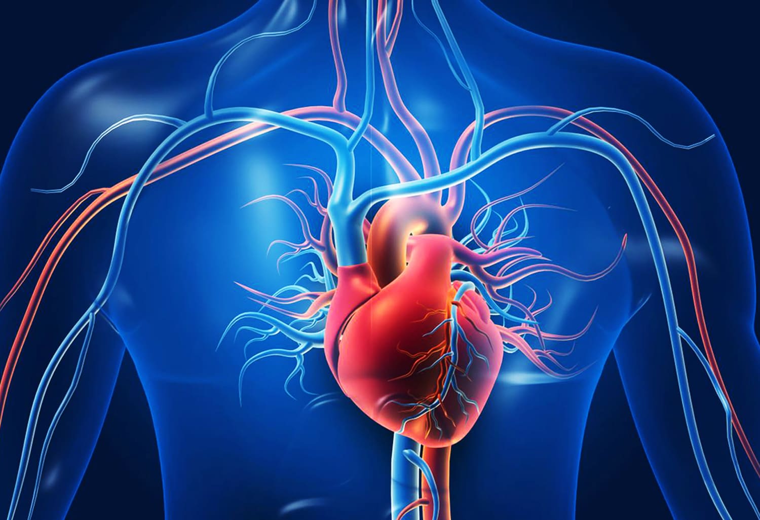 Batam Wet Cupping for Heart Disease, Medical Benefits and Effectiveness