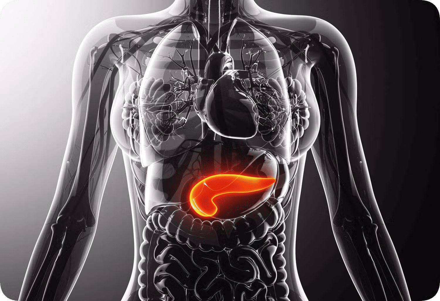 Bekam Batam Turunkan Kadar Gula Darah Pasien Diabetes Mellitus dalam Hitungan Menit