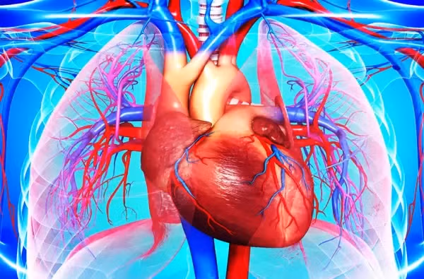 Healing of Cholesterol Hypercholesterolemia