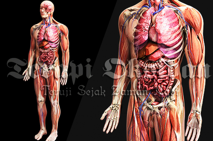 Wet Cupping Therapy And Chronic Back Pain