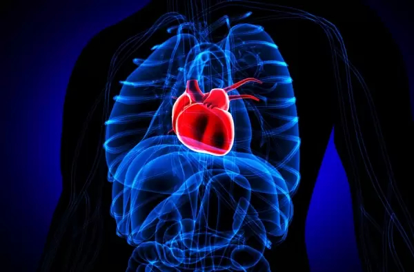 Kondisi jantung manusia