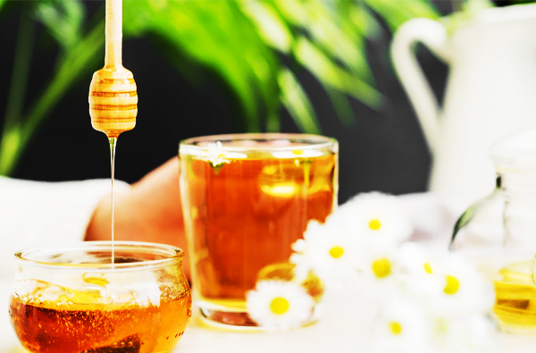 Lima jenis madu terbaik di dunia