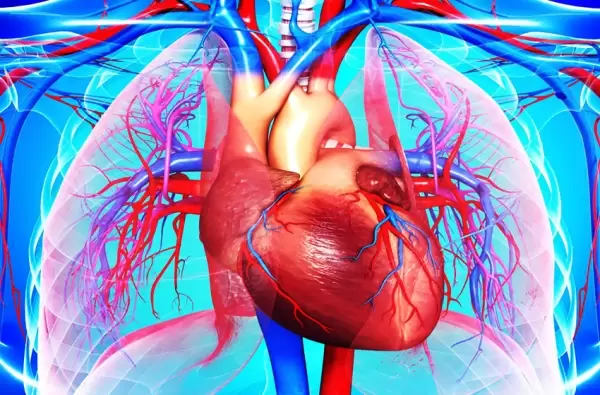 Healing of Cholesterol Hypercholesterolemia