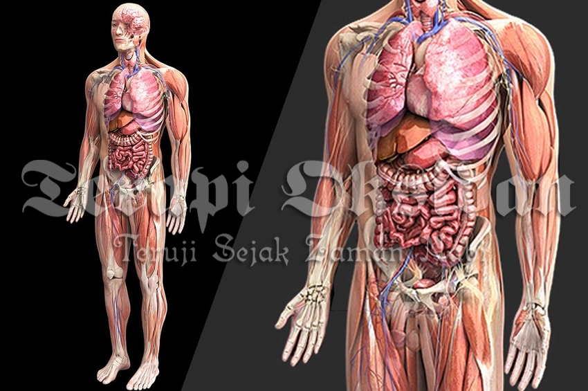 Gula Darah Langsung Normal Setelah Bekam