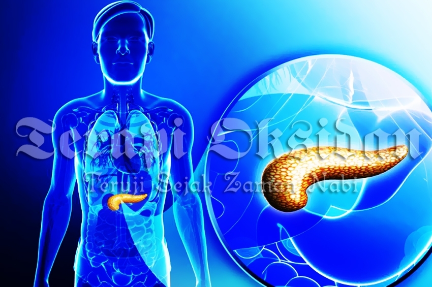 Membuat Pria Tahan Lama Setelah Dibekam