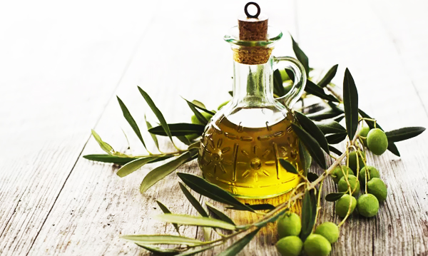 Khasiat dan Manfaat Minyak Zaitun